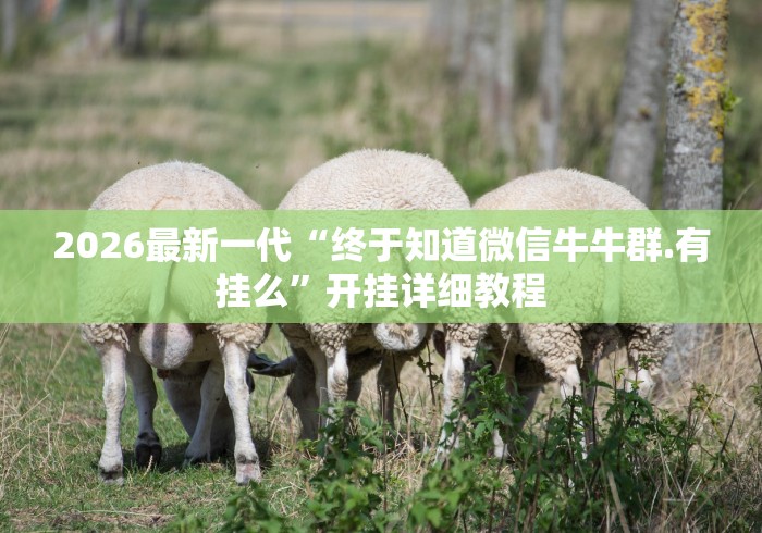 2026最新一代“终于知道微信牛牛群.有挂么”开挂详细教程