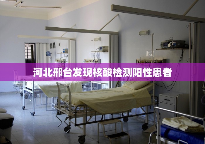 2026最新版下载“迅奇麻将万能开挂器官网最新版本介”(助赢详细开挂教程)