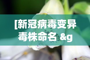 3分钟教程“微信上微乐麻将怎样免费开挂”分享用挂教程