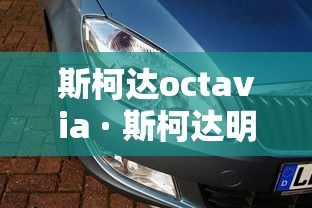 【盘点十款】“嘟嘟十三张官方免费挂”开挂辅助脚本+详细开挂
