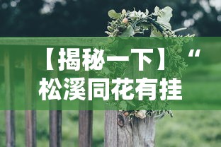 【揭秘一下】“松溪同花有挂吗”详细外挂辅助详细教程