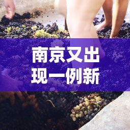 必胜技巧全攻略“微乐卡五星麻将有没有挂的”附开挂脚本详细步骤