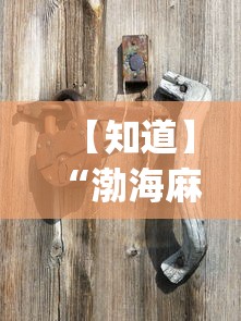【知道】“渤海麻将怎么开挂的？_游戏_玩家_工具