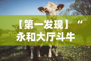 【第一发现】“永和大厅斗牛有挂吗”详细分享装挂