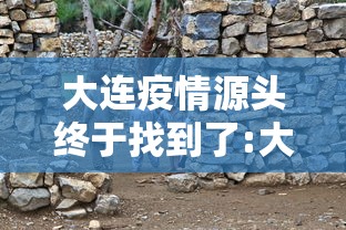 专家分析“好运大菠萝比鸡有挂吗	”详细分享装挂