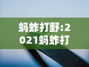 实操教程“众娱十三水怎么抓好牌”(必胜开挂神器)