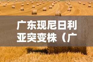 大家普及一下“情怀麻将开挂必赢神器	”(透视)开挂辅助脚本+详细开挂安装教程