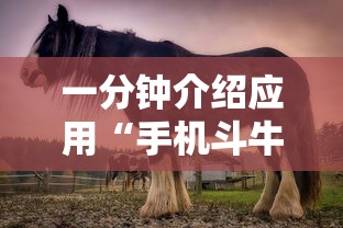 一分钟介绍应用“手机斗牛能赢钱吗”其实确实有挂