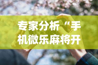 专家分析“手机微乐麻将开挂视频怎么弄”(详细透视教程)-知乎