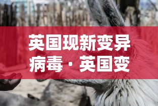 必备科技“微乐广东麻将万能开挂器”(透视)开挂辅助脚本+详细开挂安装教程