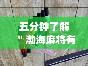 五分钟了解＂渤海麻将有挂吗？_游戏_玩家_工具