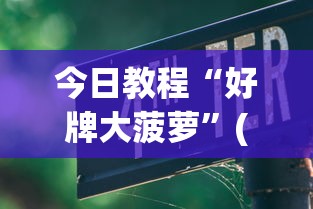 今日教程“好牌大菠萝”(透视挂)辅助透视教程