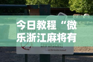 今日教程“微乐浙江麻将有挂吗”真可以装挂