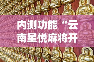 内测功能“云南星悦麻将开挂神器”(原来确实是有挂)