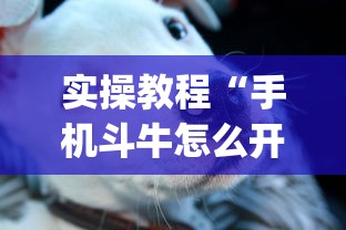 实操教程“手机斗牛怎么开挂免费下载”(太坑了果然有挂)