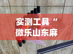 实测工具“微乐山东麻将游戏攻略秘籍”(透视曝光猫腻)