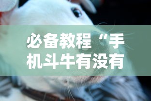 必备教程“手机斗牛有没有猫腻”开挂详细教程