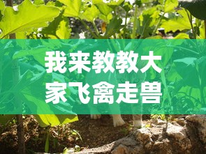 我来教教大家飞禽走兽全押稳赢打法”(曝光透视必备猫腻)