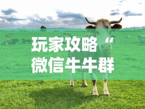 玩家攻略“微信牛牛群斗牛群	”房卡链接获取